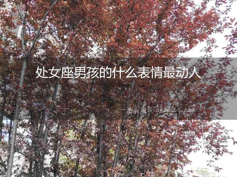 處女座男孩的什么表情最動人