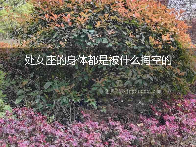 處女座的身體都是被什么掏空的