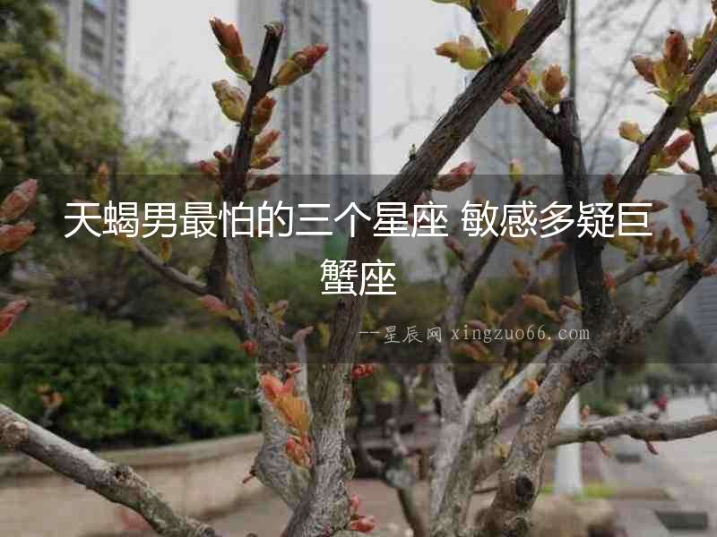天蝎男最怕的三個星座 敏感多疑巨蟹座
