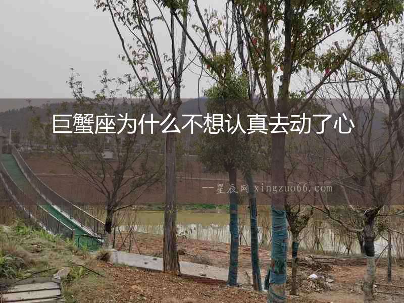 巨蟹座為什么不想認(rèn)真去動(dòng)了心