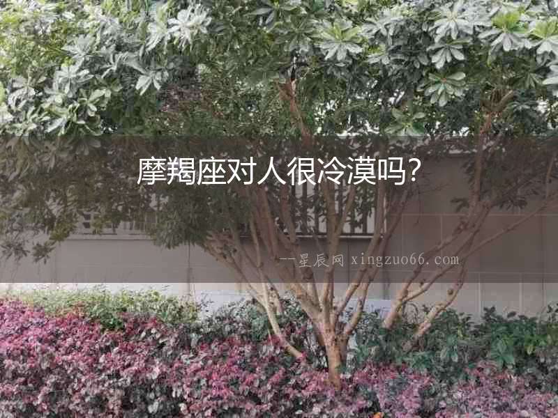 摩羯座對人很冷漠嗎？