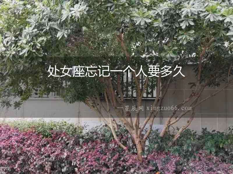 處女座忘記一個人要多久