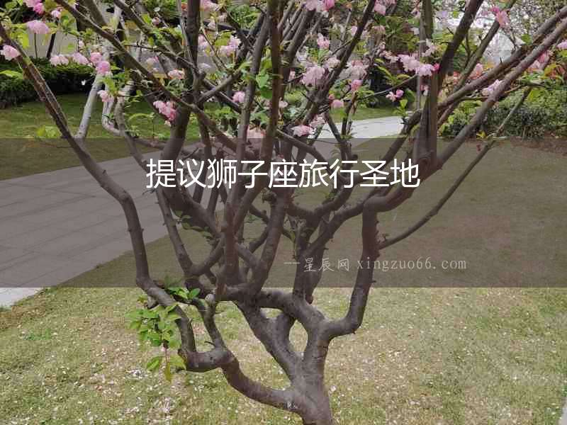 提議獅子座旅行圣地