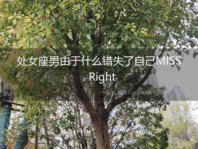 處女座男由于什么錯失了自己MISS. Right
