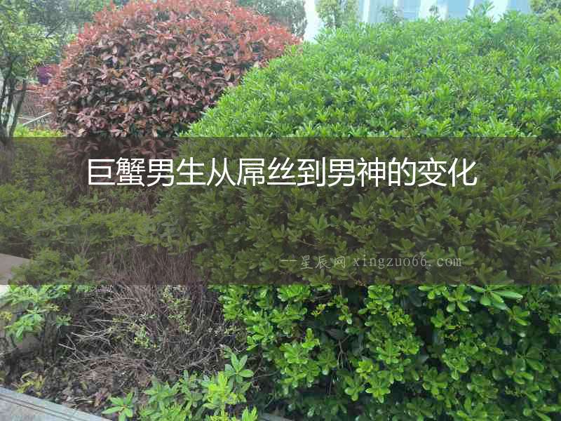 巨蟹男生從屌絲到男神的變化