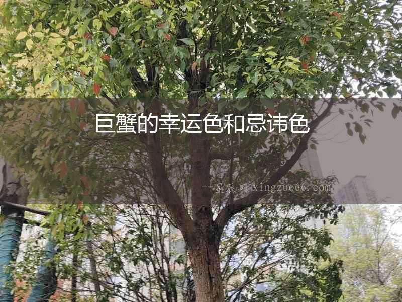 巨蟹的幸運(yùn)色和忌諱色