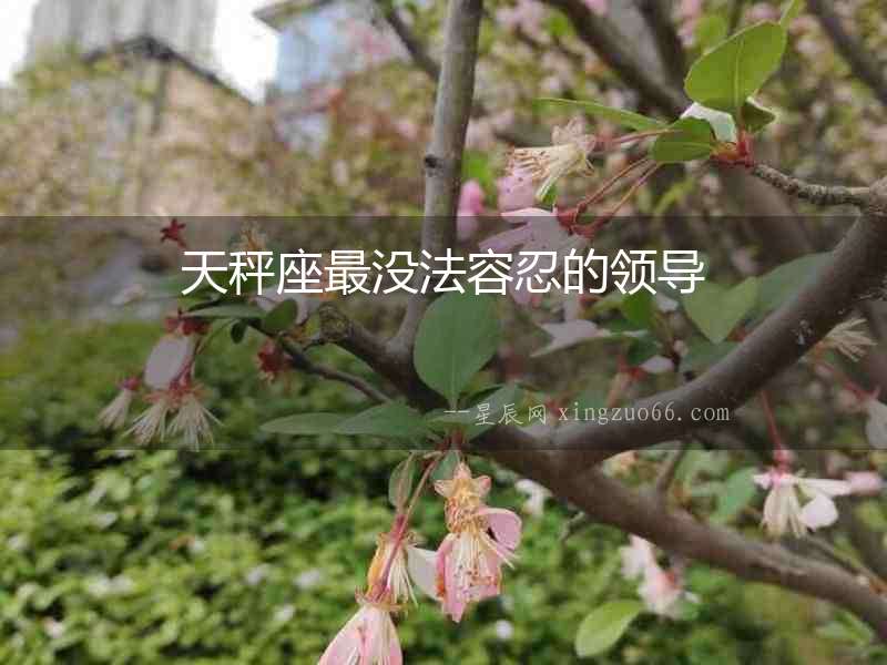 天秤座最沒法容忍的領導