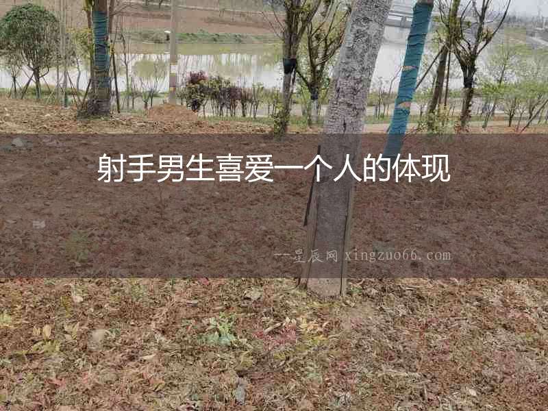 射手男生喜愛一個人的體現