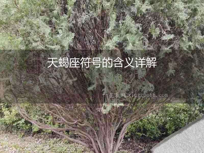天蝎座符號的含義詳解