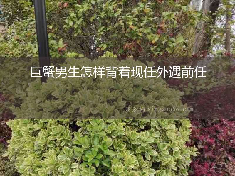 巨蟹男生怎樣背著現任外遇前任