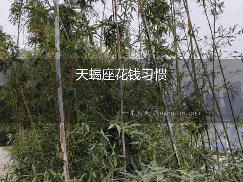 天蝎座花錢習慣