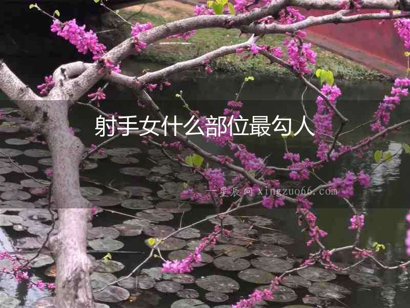 射手女什么部位最勾人