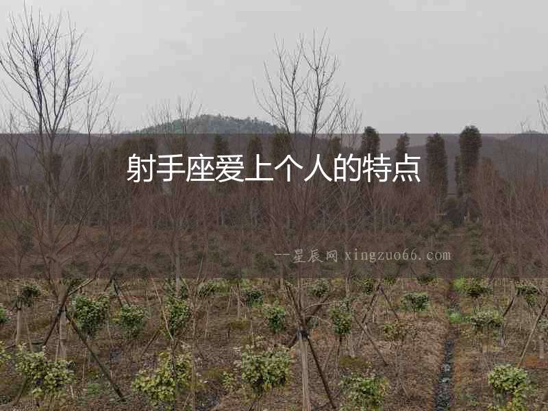 射手座愛上個人的特點