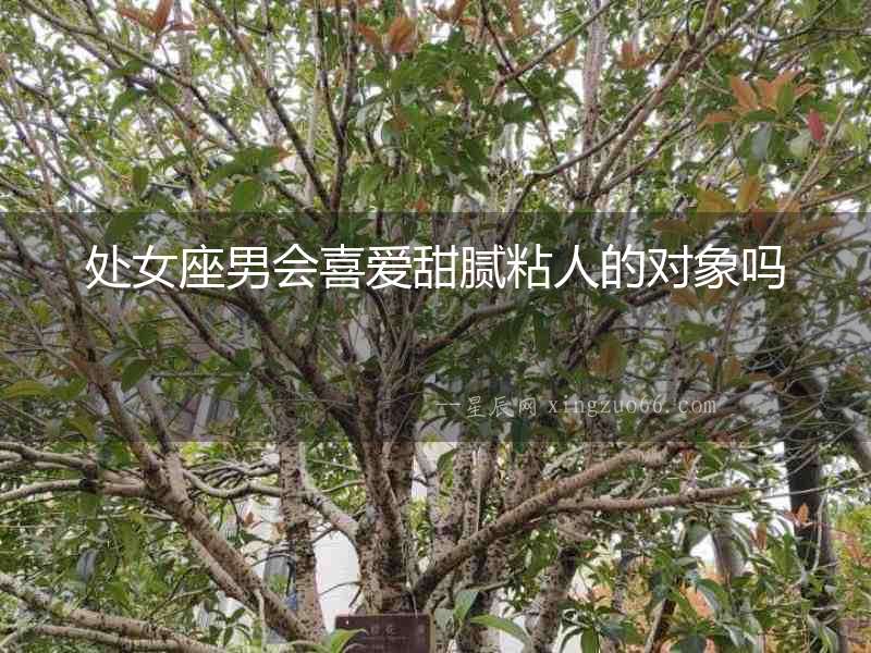 處女座男會喜愛甜膩粘人的對象嗎