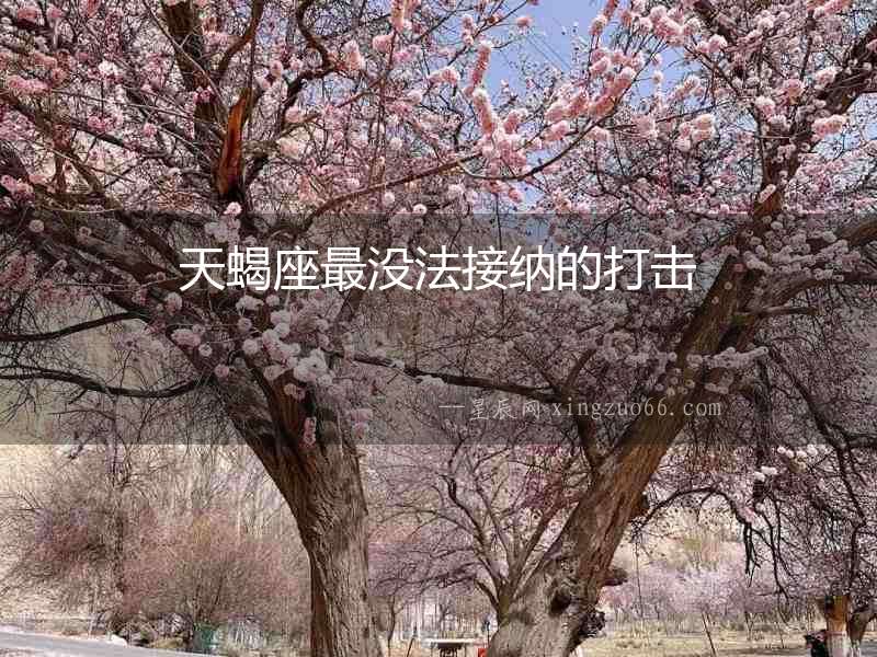 天蝎座最沒法接納的打擊