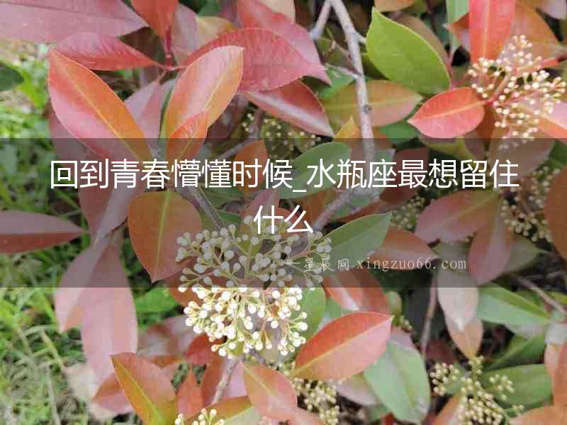 回到青春懵懂時(shí)候_水瓶座最想留住什么