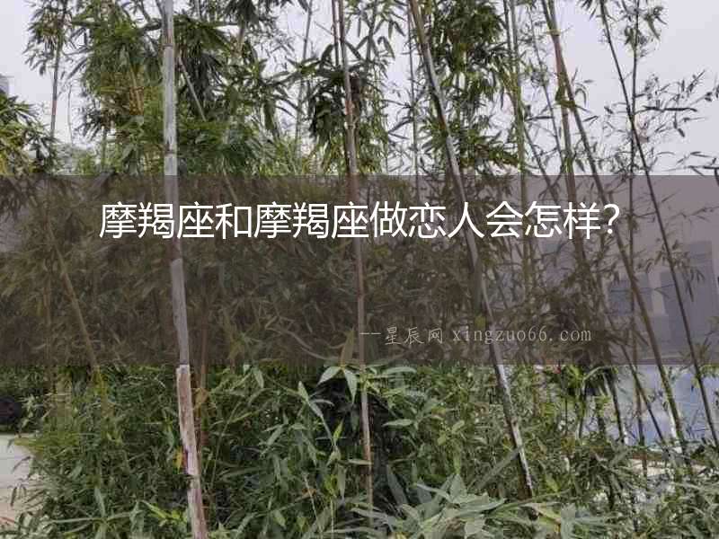 摩羯座和摩羯座做戀人會怎樣？
