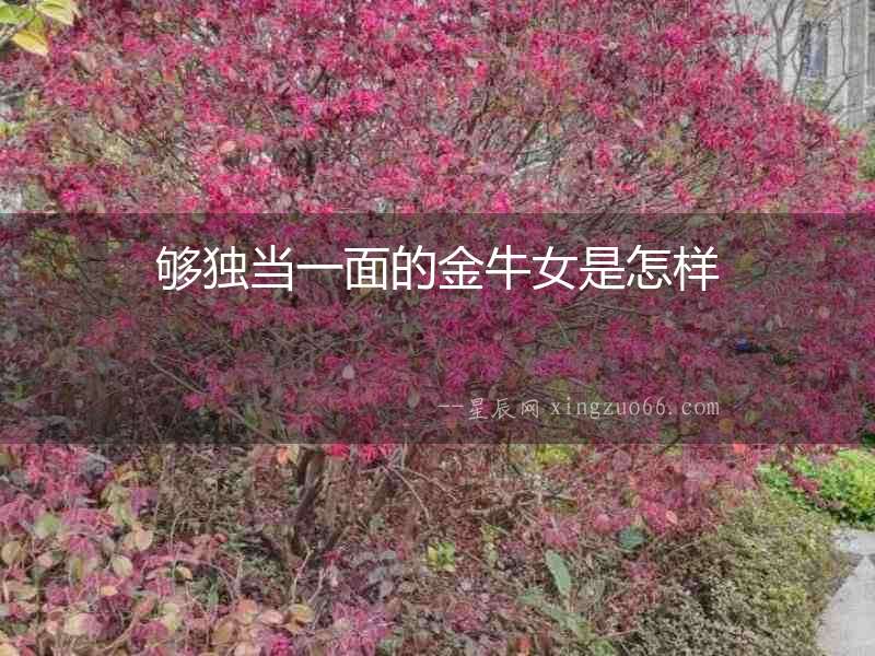 夠獨當一面的金牛女是怎樣