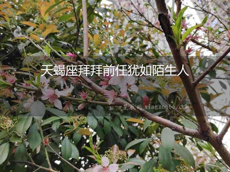 天蝎座拜拜前任猶如陌生人