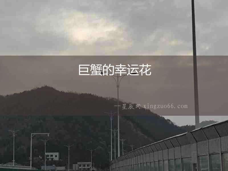 巨蟹的幸運花