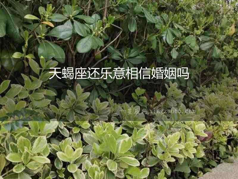 天蝎座還樂意相信婚姻嗎