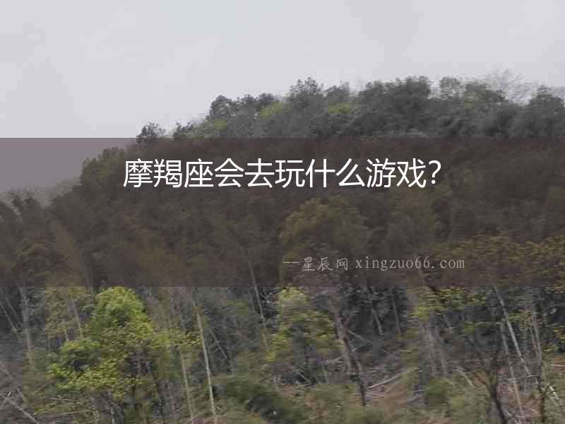 摩羯座會去玩什么游戲？
