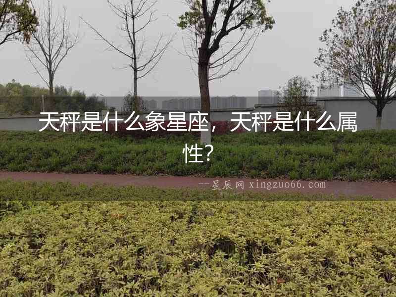 天秤是什么象星座，天秤是什么屬性？