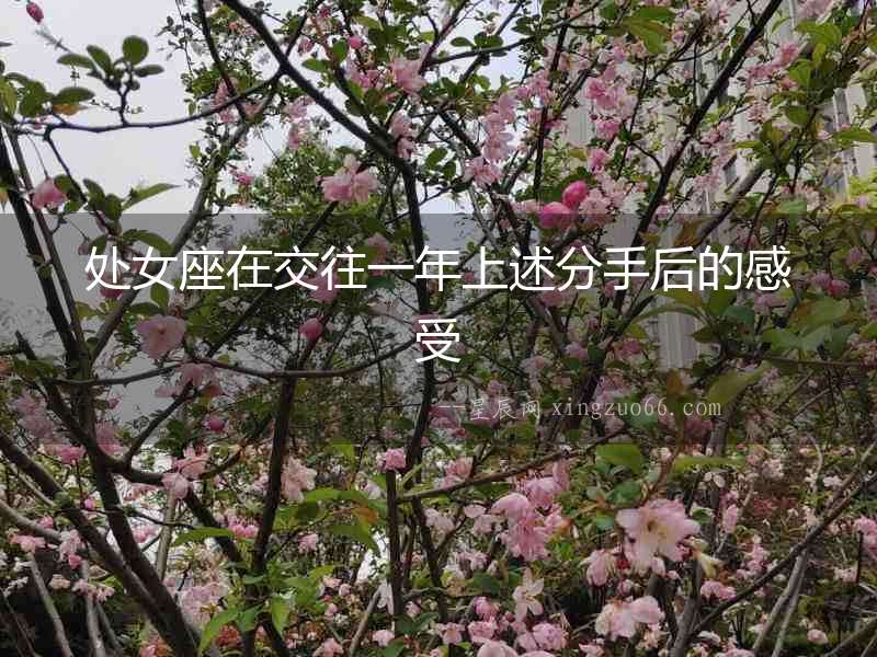 處女座在交往一年上述分手后的感受