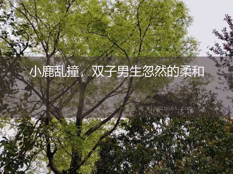 小鹿亂撞，雙子男生忽然的柔和
