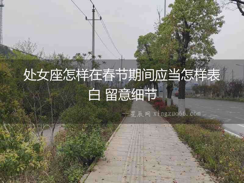 處女座怎樣在春節期間應當怎樣表白 留意細節