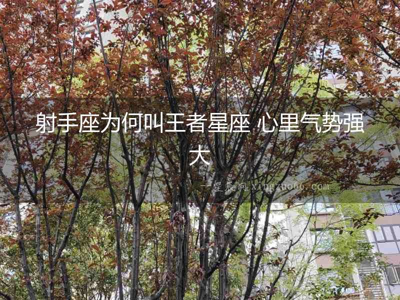 射手座為何叫王者星座 心里氣勢強大
