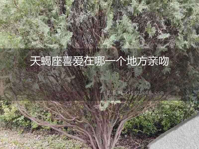 天蝎座喜愛在哪一個地方親吻