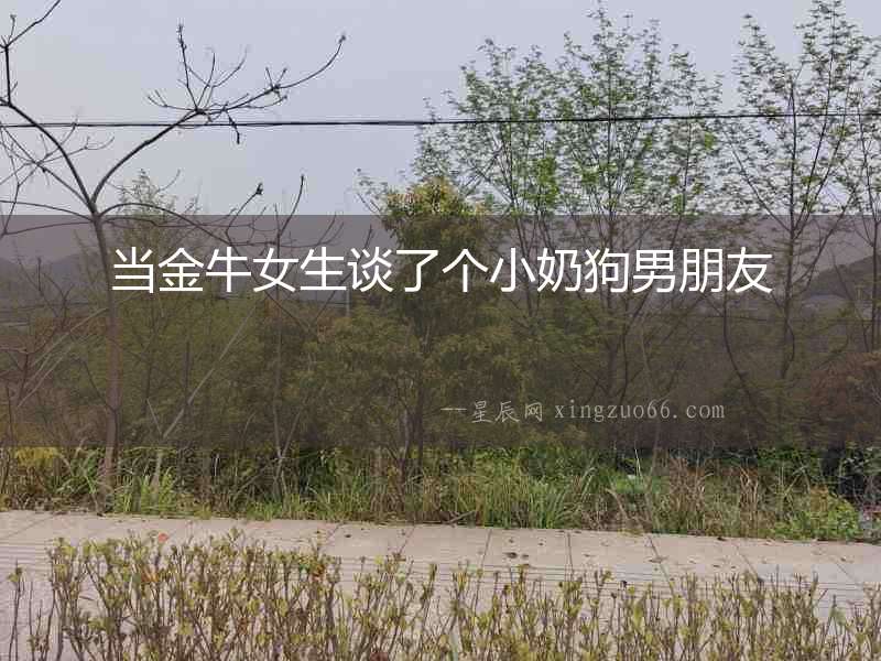 當(dāng)金牛女生談了個小奶狗男朋友