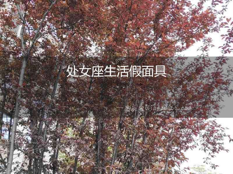 處女座生活假面具