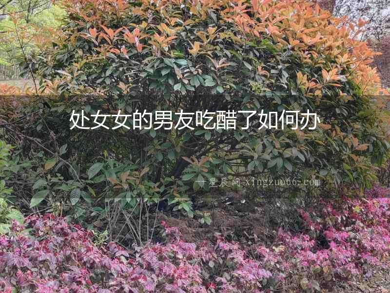 處女女的男友吃醋了如何辦