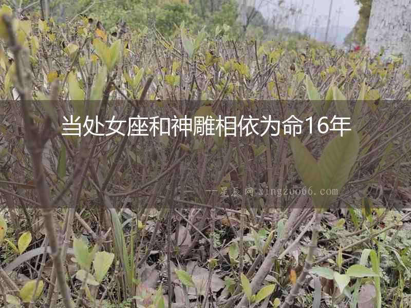當處女座和神雕相依為命16年