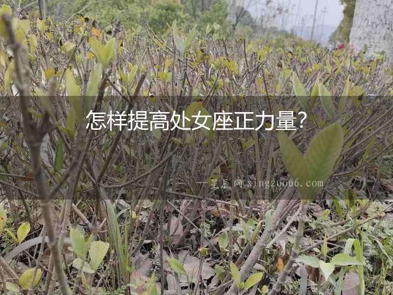 怎樣提高處女座正力量？