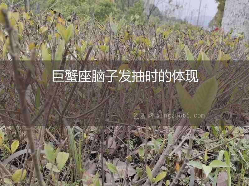 巨蟹座腦子發(fā)抽時(shí)的體現(xiàn)