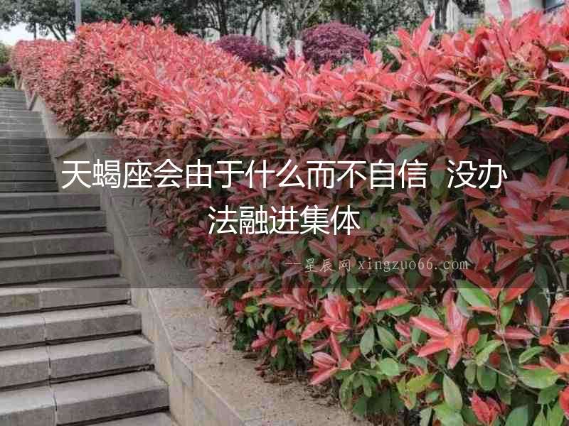 天蝎座會由于什么而不自信  沒辦法融進集體