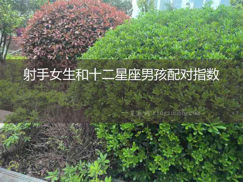 射手女生和十二星座男孩配對指數