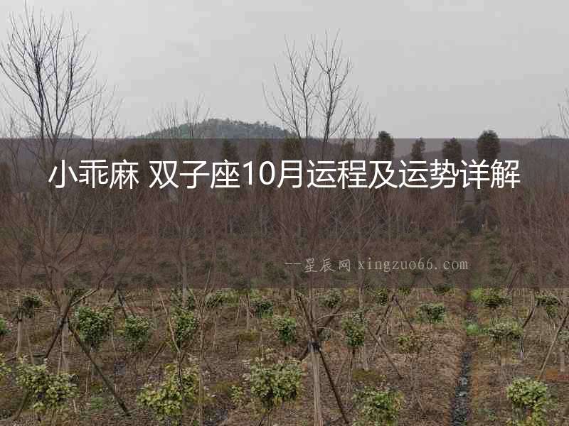 小乖麻 雙子座10月運程及運勢詳解