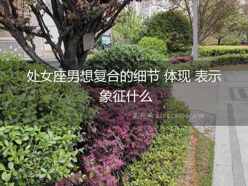 處女座男想復(fù)合的細(xì)節(jié) 體現(xiàn) 表示 象征什么