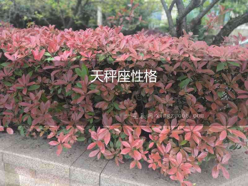 天秤座性格
