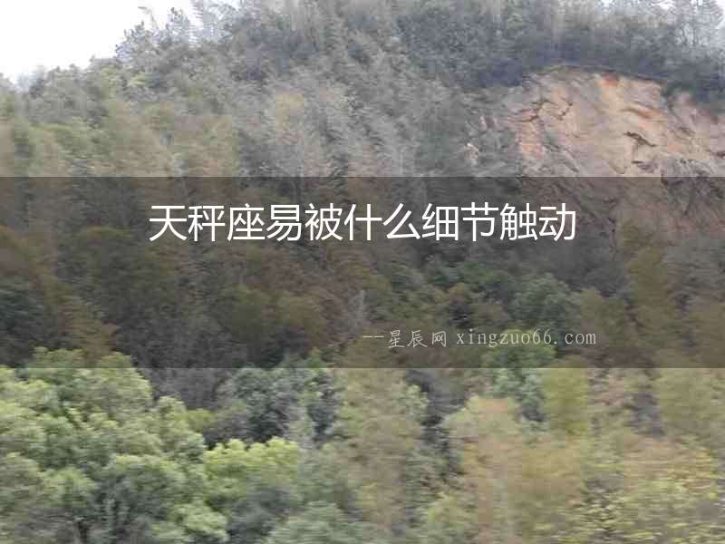 天秤座易被什么細節觸動