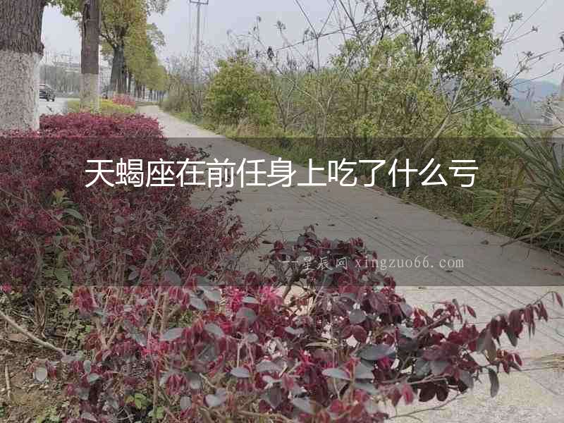 天蝎座在前任身上吃了什么虧