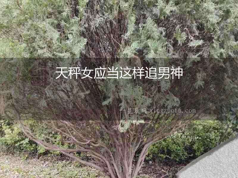 天秤女應當這樣追男神
