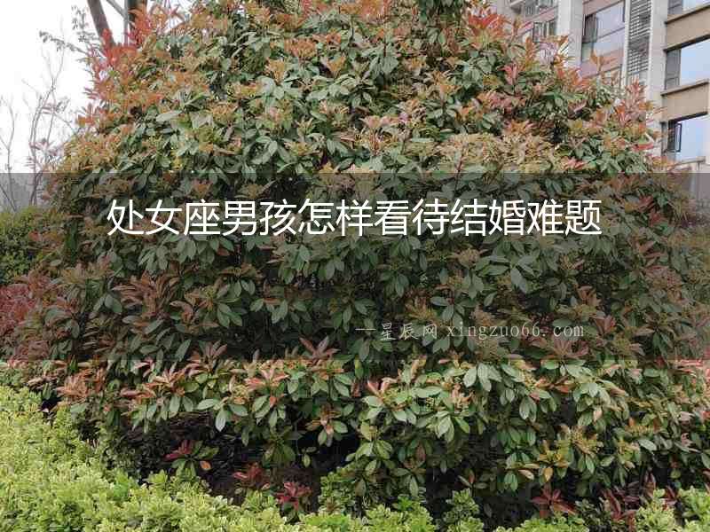 處女座男孩怎樣看待結婚難題