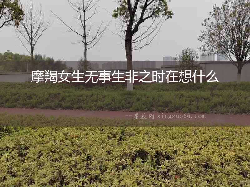 摩羯女生無事生非之時在想什么
