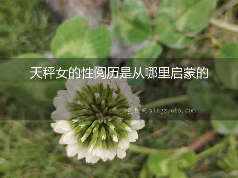 天秤女的性閱歷是從哪里啟蒙的