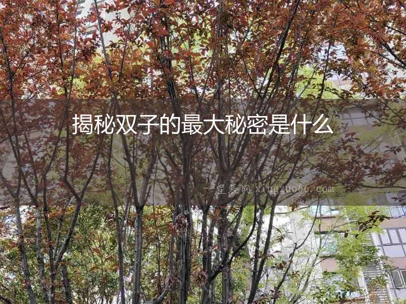 揭秘雙子的最大秘密是什么